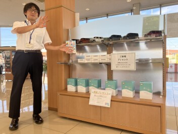 今週も夏の大商談会開催中！